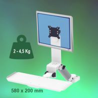 ErgonoFlex Bras Médical Combo Rabattable de 300 mm Montage sur Pole Fixe 35 mm