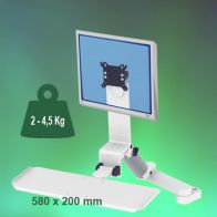 ErgonoFlex Bras Médical Combo Rabattable de 300 + 240 mm Montage sur Pole Fixe 35 mm